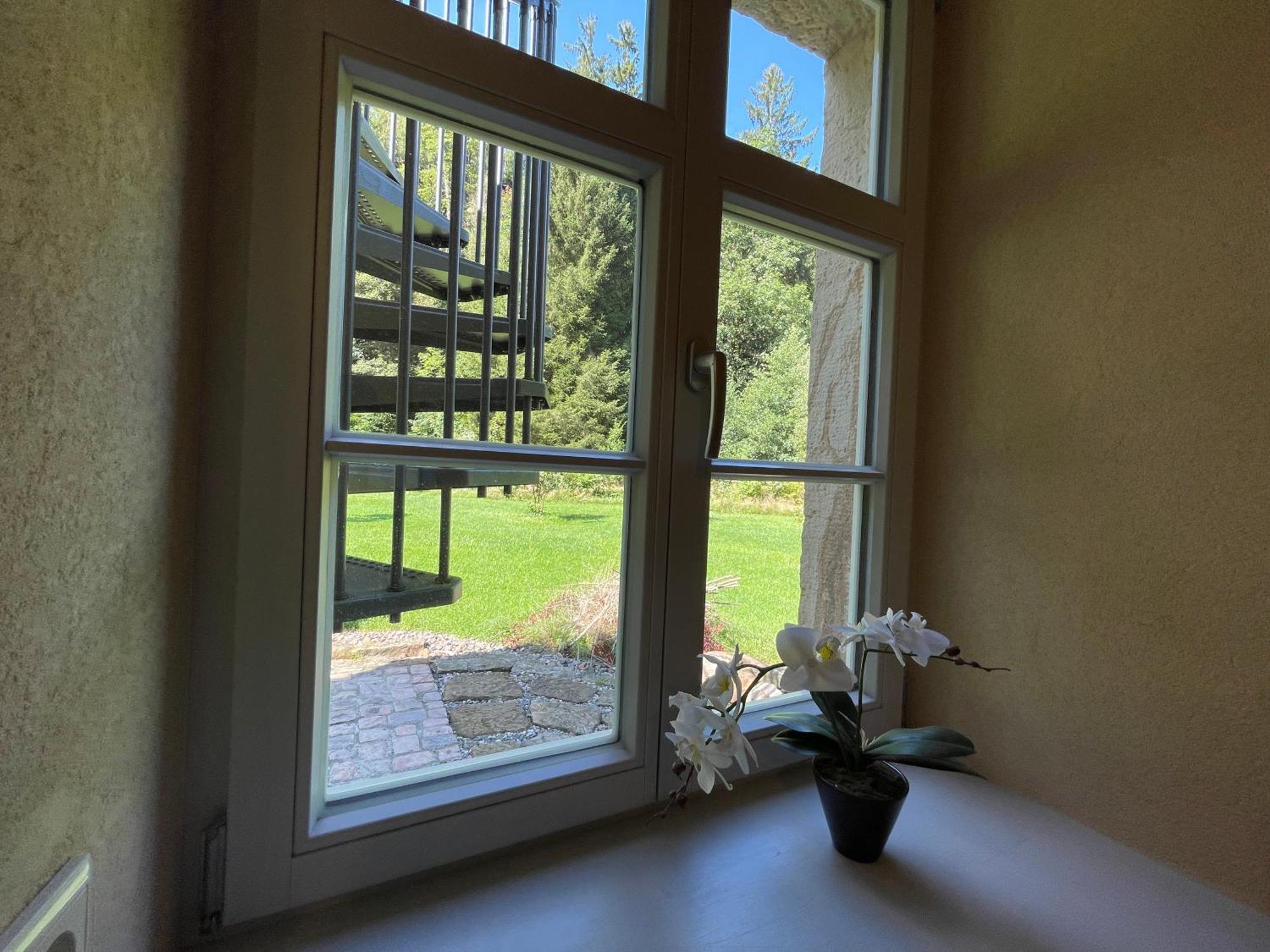 Ferienwohnung Parkblick Im Badehaus Rosenthal-Bielatal Bagian luar foto